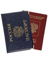 A-005 Обложка на паспорт (ЗУ-змея/ПВХ)